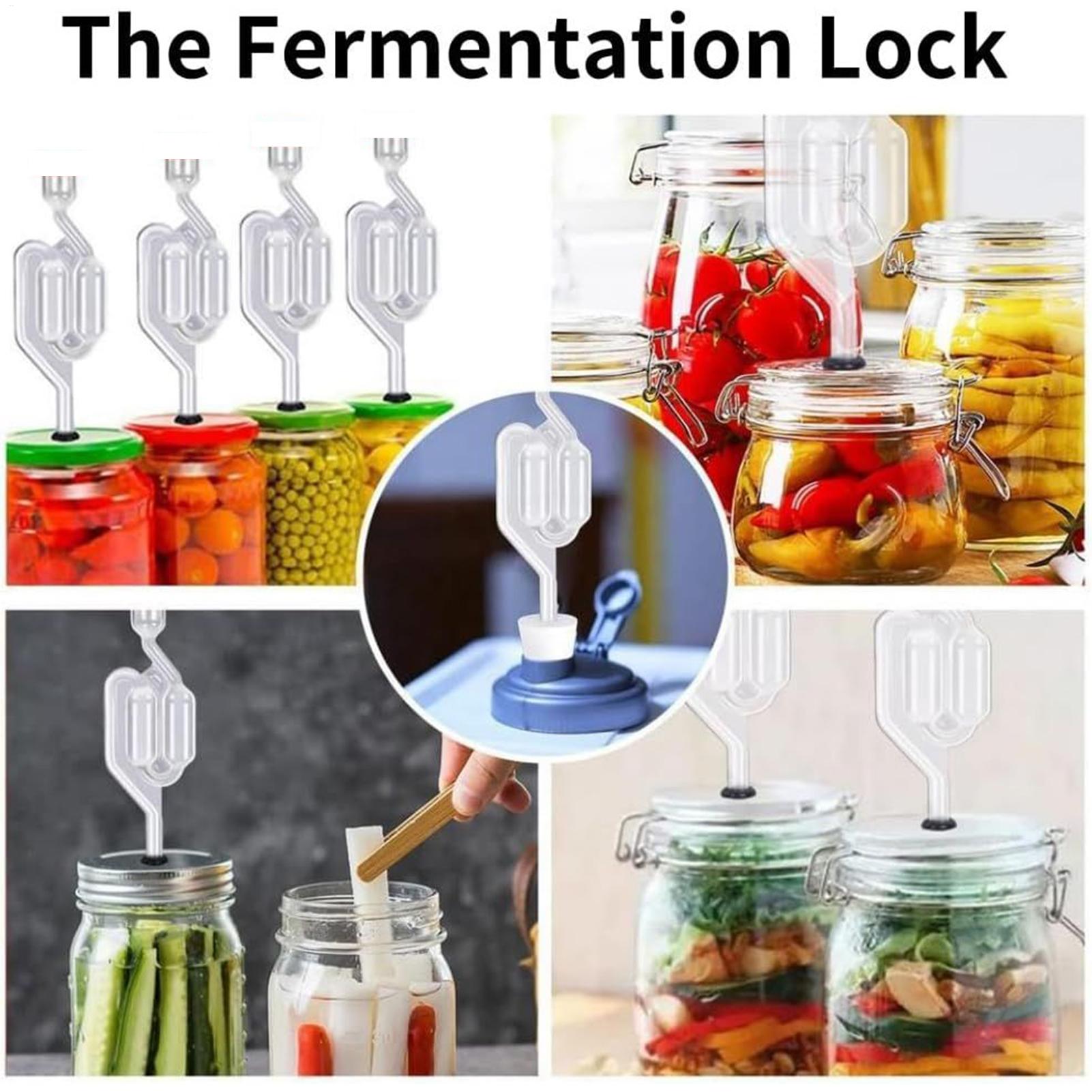 Fermento de bloqueio de ar de  - Wine Beer Making Supplies avaliação e preço